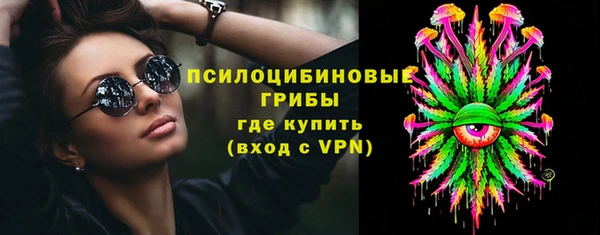 apvp Каменка