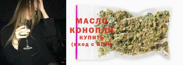 apvp Каменка