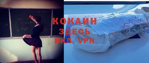 apvp Каменка