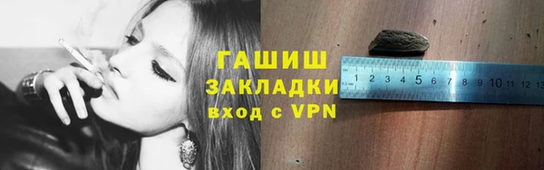 apvp Каменка