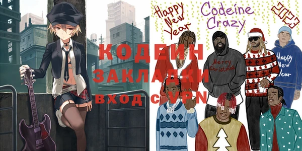 apvp Каменка