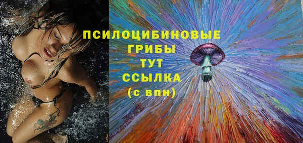 альфа пвп Каменногорск