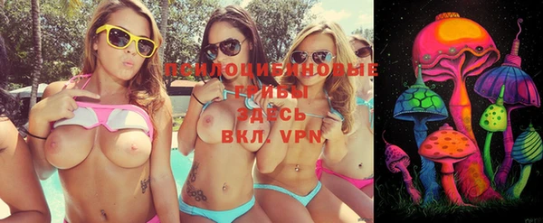 apvp Каменка