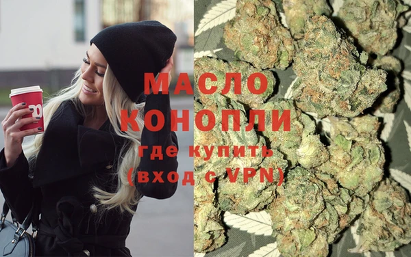 apvp Каменка