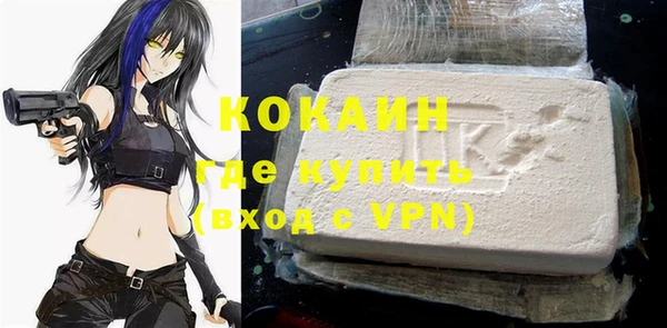 apvp Каменка