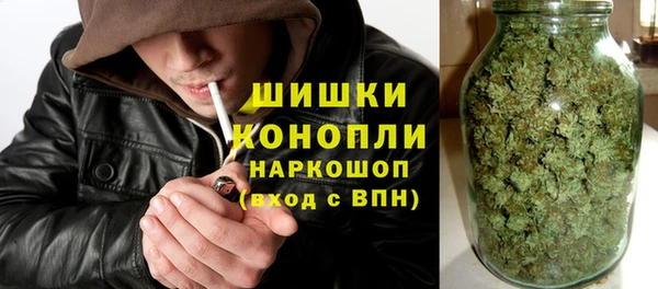 apvp Каменка