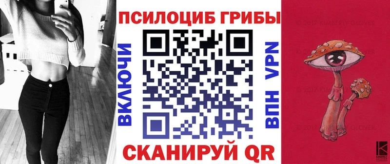 Псилоцибиновые грибы Psilocybe  Купить где  Богородск 